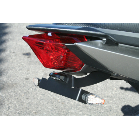 Yamaha XJ6 DIVERSION  specific License plate support - 1