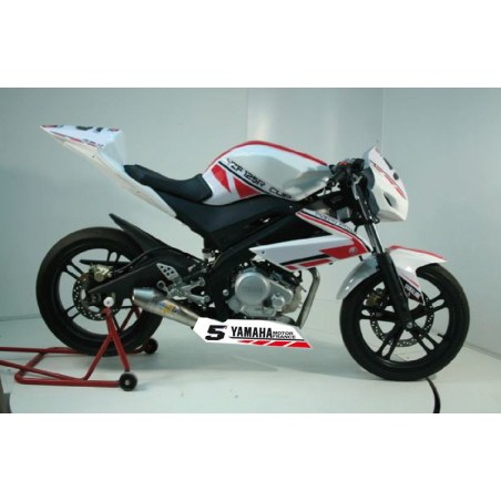  Race fairing YZF125 - 1
