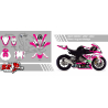 Customisable decoration kit BMW S1000RR 2012-14 fairing + saddle