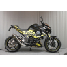 Decoration kit kawasaki Z800 white green