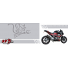 Decoration kit kawasaki Z800 white green