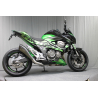 Decoration kit kawasaki Z800 white green