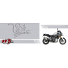 Kit deco SUZUKI DL1000