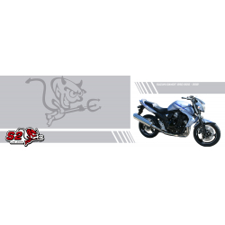 stickers kit Suzuki BANDIT 1250