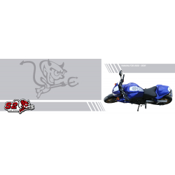 Stickers kit FZ8