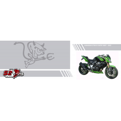 Decals set kit Furtif Kawasaki Z750 R