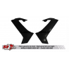 racing fairing side right or left S2 CONCEPT APRILIA RS660