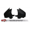 Ecopes radiateur S2 CONCEPT SUZUKI GSR600