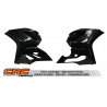 racing fairing left or right DUCATI 899/1199