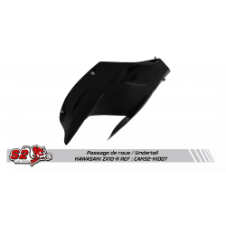 Kawasaki ZX10-R racing undertail