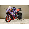 Ensemble complet de décalcomanies pour Aprilia RS660