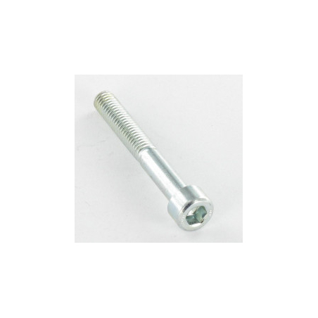 Metal Screws CHC BTR 10X100 Pitch 125 Steel Zinc White Key 8