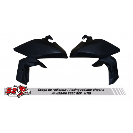 Paire d'écopes racing pour Kawasaki Z650
