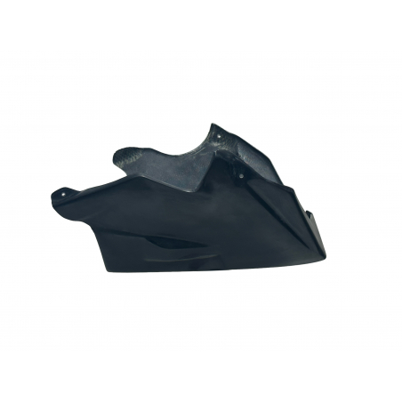 Sabot Racing S2 CONCEPT TRIUMPH STREET TRIPLE 765 pot d'origine