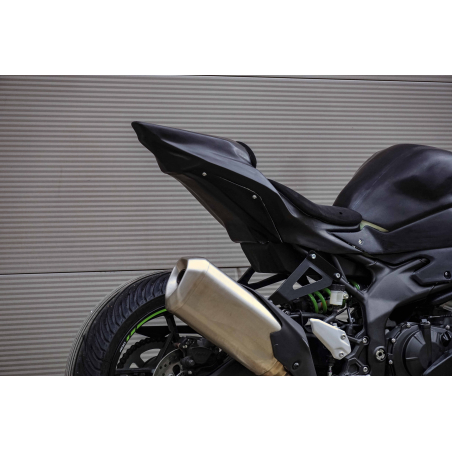 Complete Race Fairing Kit for Kawasaki ZX4-RR a partir de 2024