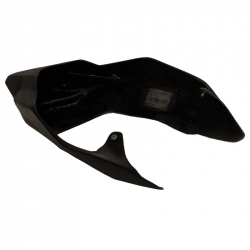 Kawasaki ZX10-R racing wing back seat