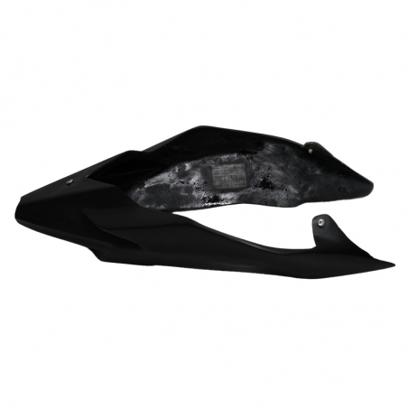 Kawasaki ZX10-R racing wing back seat