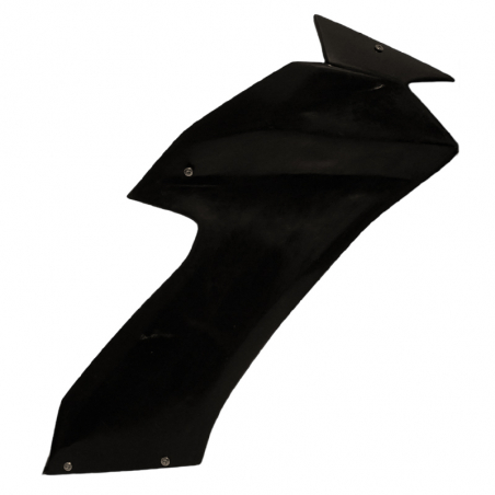 Flanc gauche ou droit racing KAWASAKI ZX10-R