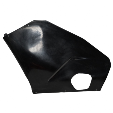 Racing side fairing S2CONCEPT TRIUMPH STREET TRIPLE 765 RS