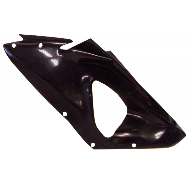 Racing fairing left or right BMW S1000RR