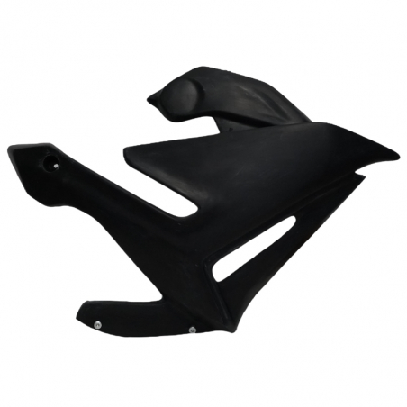 Paire écopes radiateur S2CONCEPT BMW S1000R