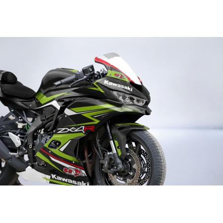 Kawasaki Ninja ZX4-R Custom racing decals set