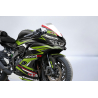 Kawasaki Ninja ZX4-R Custom racing decals set