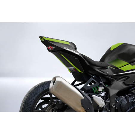 Kawasaki Ninja ZX4-R Custom racing decals set