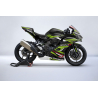 Kawasaki Ninja ZX4-R Custom racing decals set