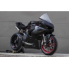 DUCATI Panigale V2 EVO from 2020 side panel fairing left or right