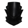 SUZUKI GSX-S750 Racing headlight plate