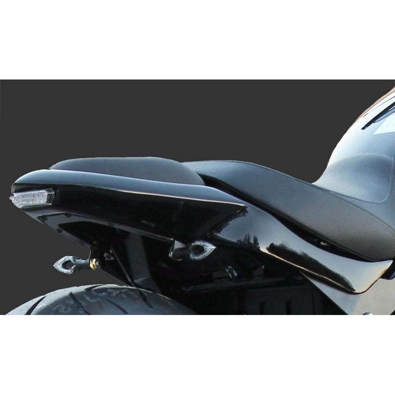 undertail suzuki VL 1500