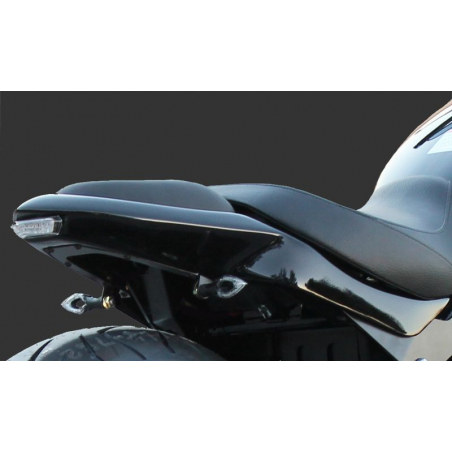 undertail suzuki VL 1500 - 1