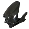 DUCATI PANIGALE V4 from 2025 racing carbon rear fender