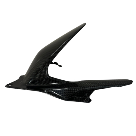 DUCATI PANIGALE V4 from 2025 racing carbon rear fender