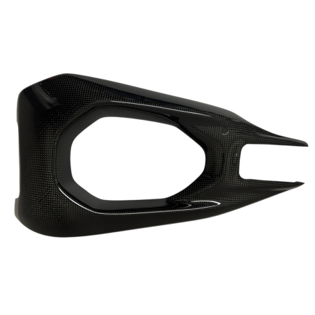 DUCATI PANIGALE V4 from 2025 racing carbon swingarm protector