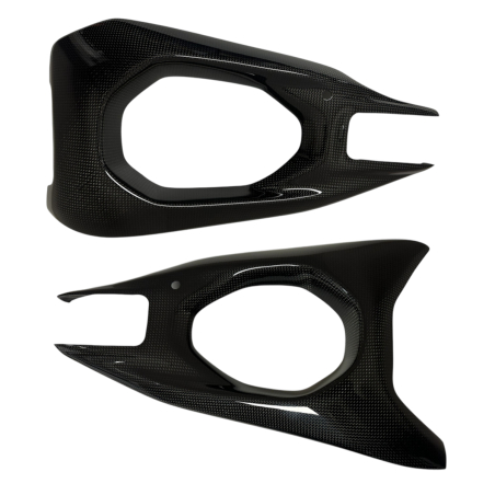 DUCATI PANIGALE V4 from 2025 racing carbon swingarm protector