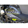 Décoration moto Kawasaki Z900 – Kit RADIKAL 2025 prêt à poser