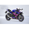 Full adhesive kit for Yamaha R1 from 2020 – Easy to apply, professional finish