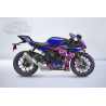 Full adhesive kit for Yamaha R1 from 2020 – Easy to apply, professional finish