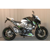 Decoration kit kawasaki Z800 white green