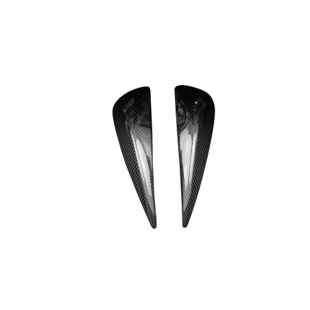 Pad de Réservoir en Carbone Véritable - Aprilia RS660