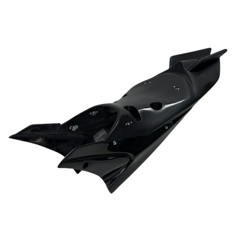 APRILIA RS 660 / TUONO 660 S2 CONCEPT racing tail unit