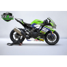 Kawasaki Ninja ZX4-R Cup racing decals set