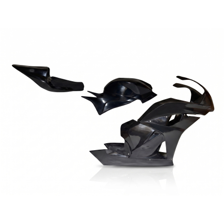 Kit carénage complet pour CBR600RR (2009–2012) – Version CRC piste
