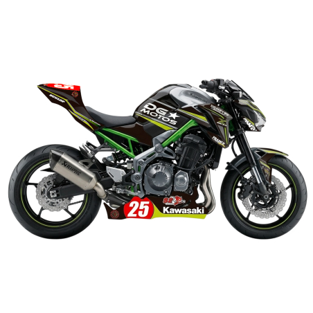 Kawasaki Z900 Racing Decals set