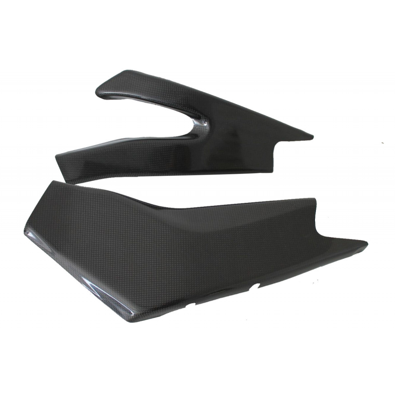Swing arm protection Yamaha R6 from 2006