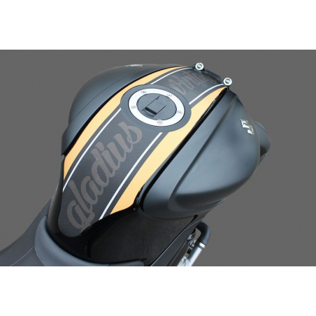 Suzuki Gladius Vintage Decorating Kit - 3