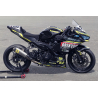 Kawasaki Ninja 400 Custom racing decals set