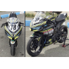 Kawasaki Ninja 400 Custom racing decals set